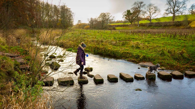Visitor crossing water via stepping stones with their dog on an autumnal walk at Wallington